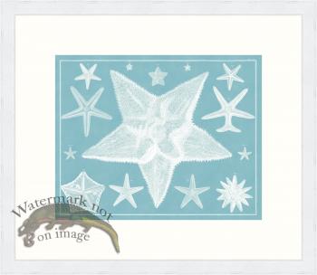 Seba B2 008 Starfish WFBP